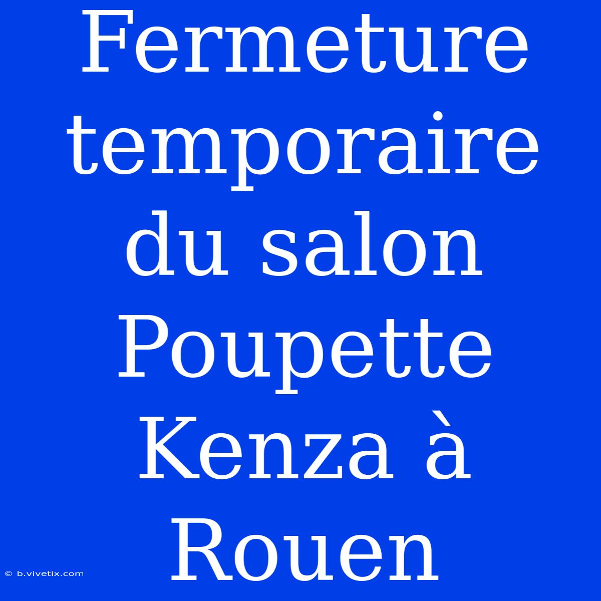 Fermeture Temporaire Du Salon Poupette Kenza À Rouen