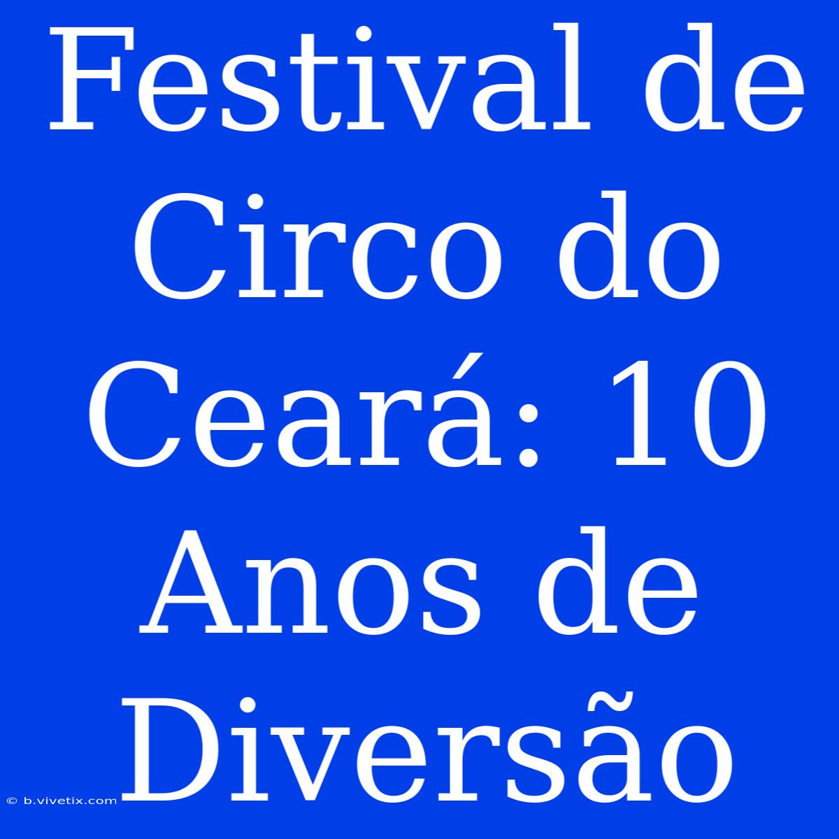 Festival De Circo Do Ceará: 10 Anos De Diversão