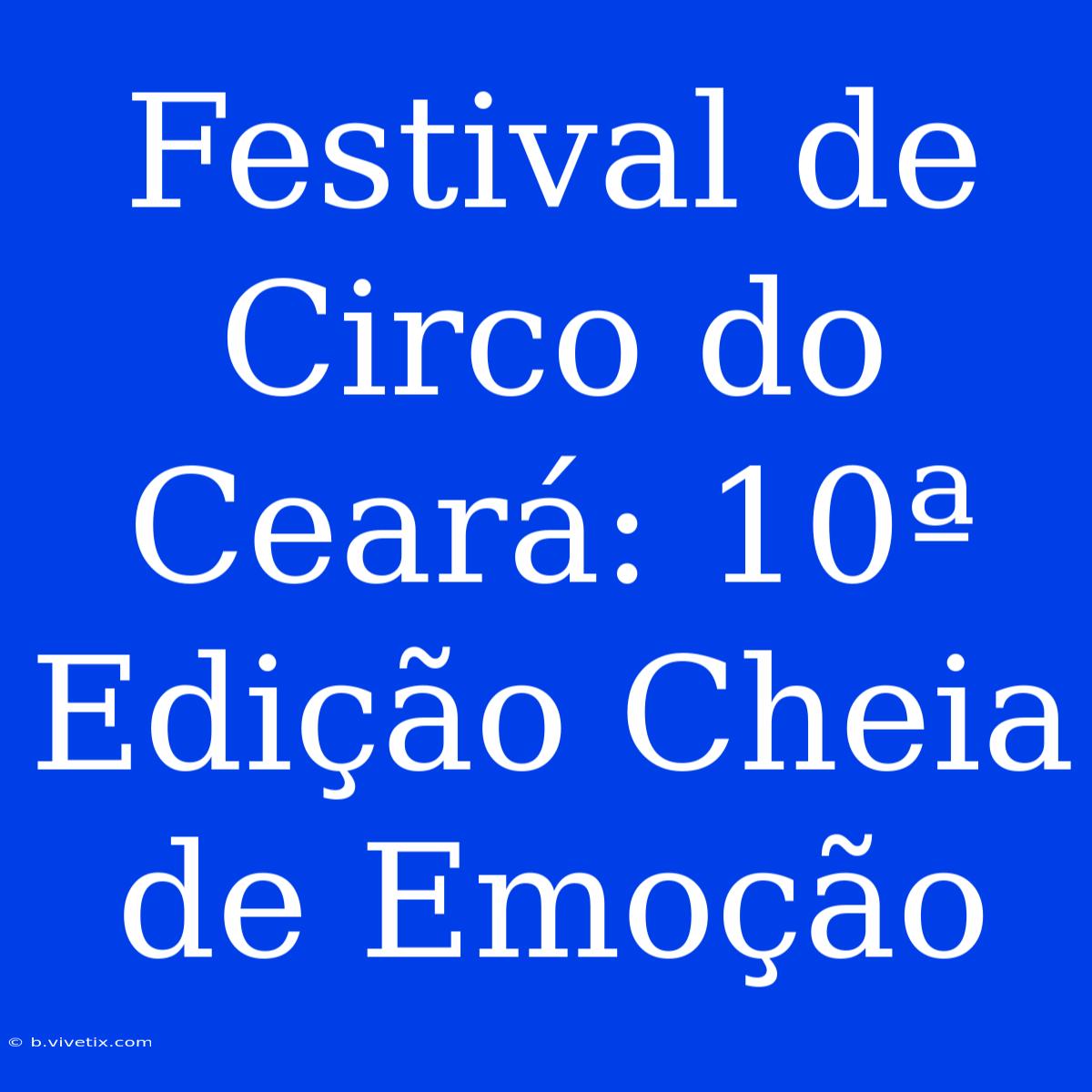 Festival De Circo Do Ceará: 10ª Edição Cheia De Emoção