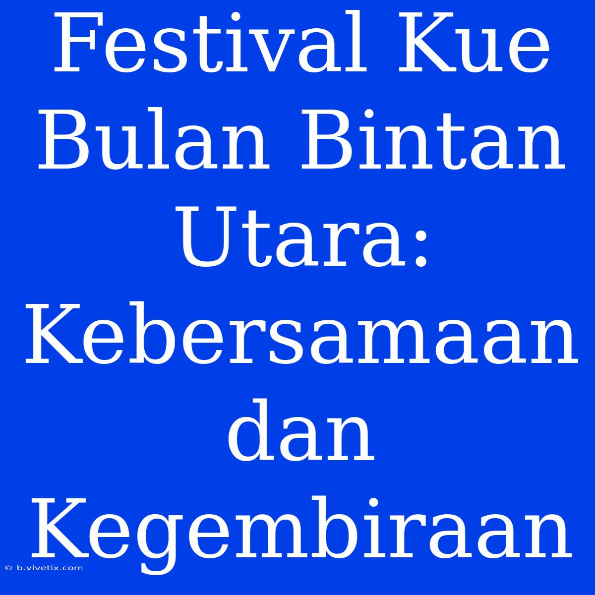 Festival Kue Bulan Bintan Utara: Kebersamaan Dan Kegembiraan