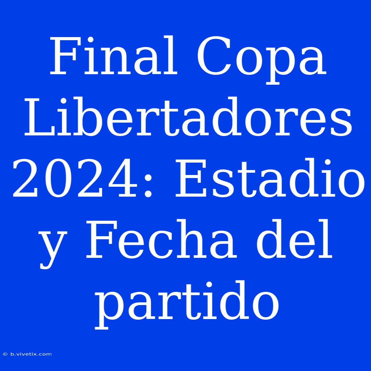 Final Copa Libertadores 2024: Estadio Y Fecha Del Partido