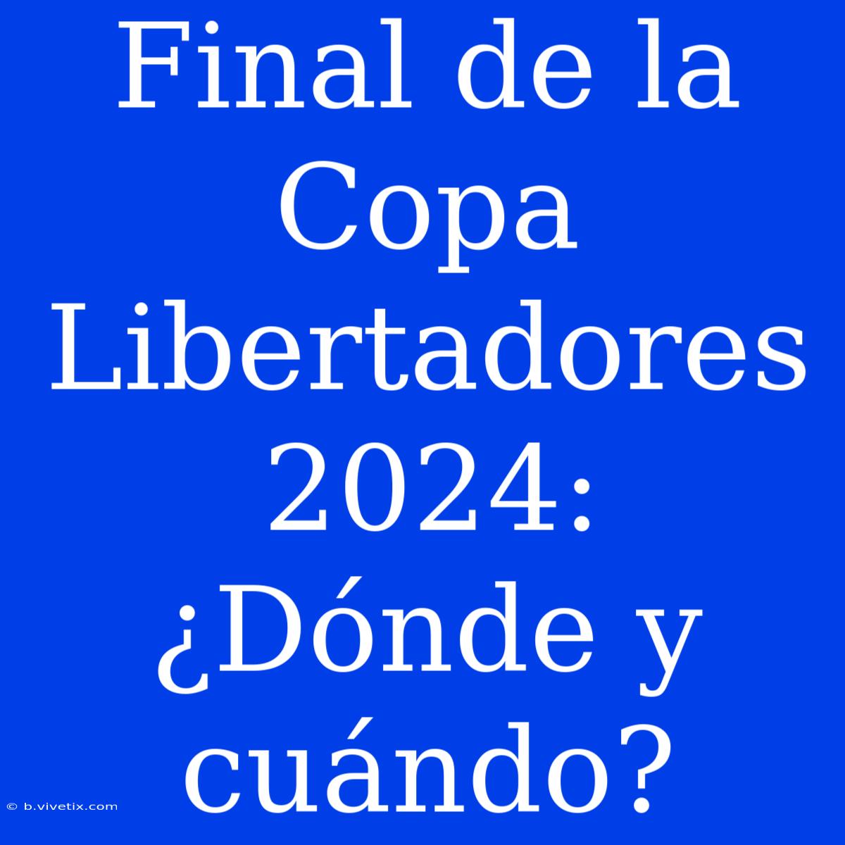 Final De La Copa Libertadores 2024: ¿Dónde Y Cuándo? 