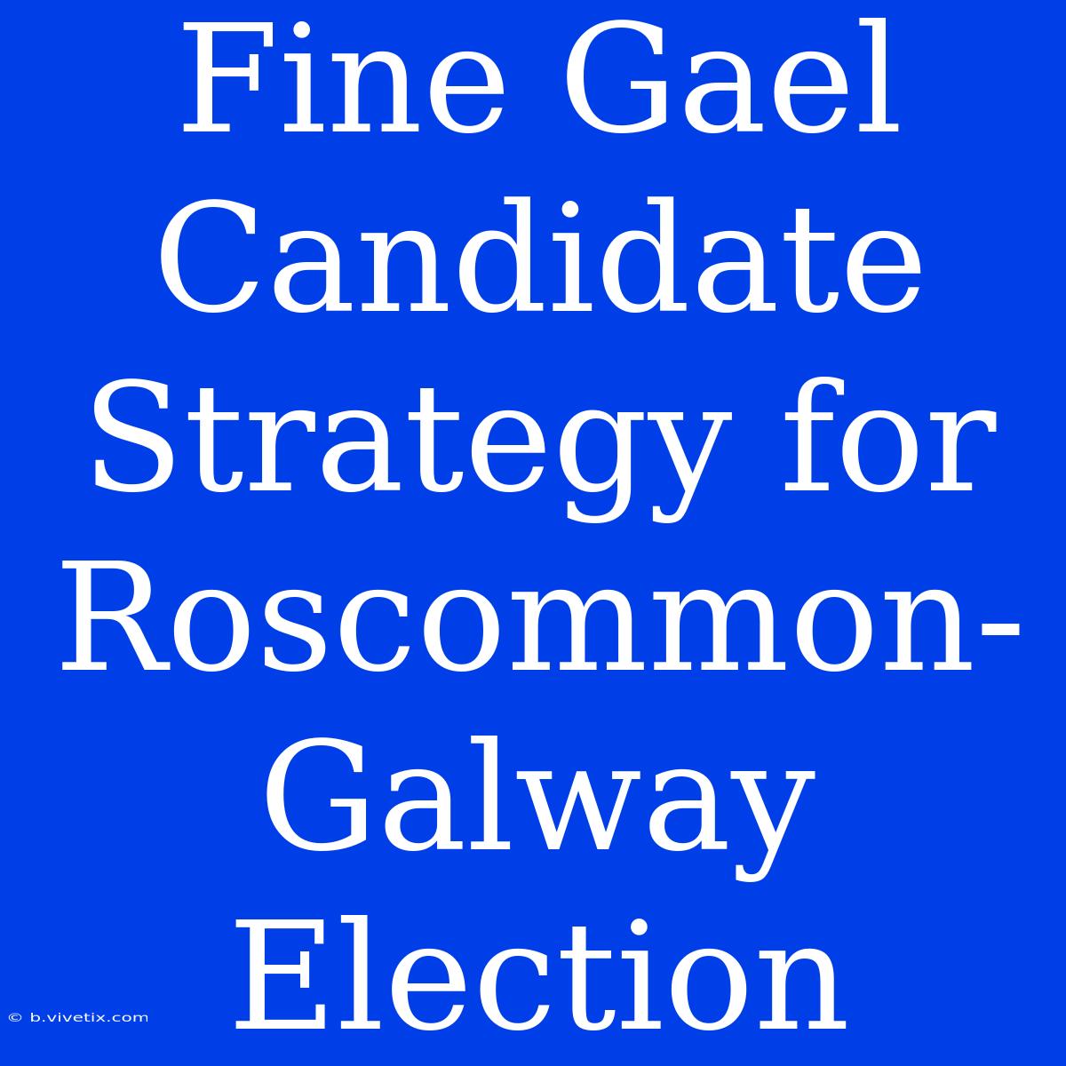 Fine Gael Candidate Strategy For Roscommon-Galway Election 