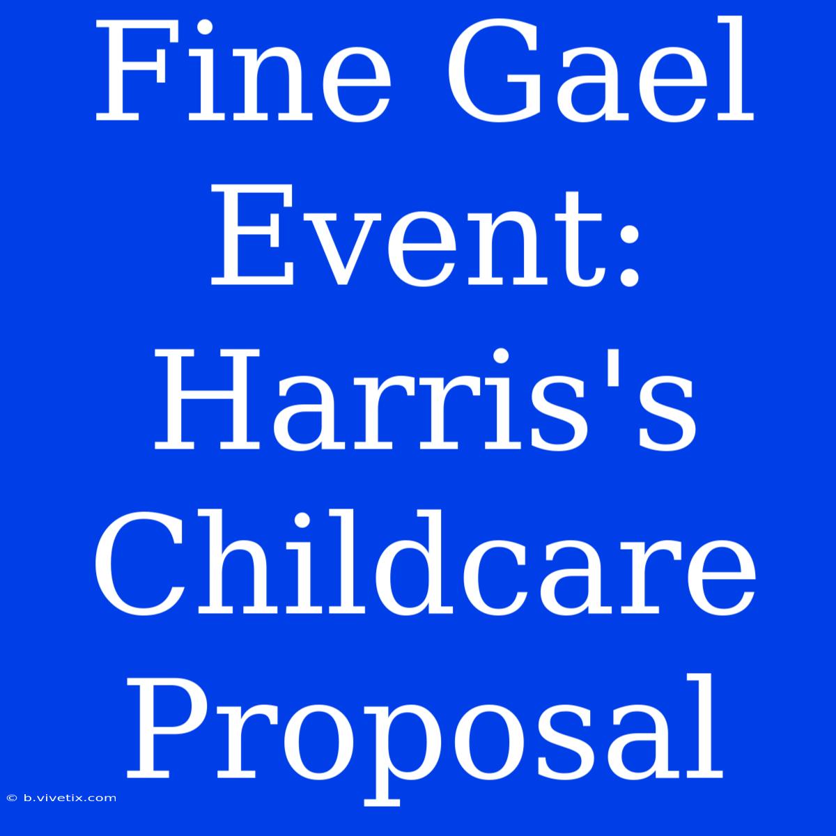 Fine Gael Event: Harris's Childcare Proposal 