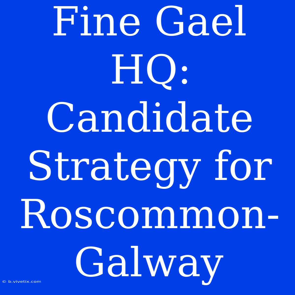 Fine Gael HQ: Candidate Strategy For Roscommon-Galway