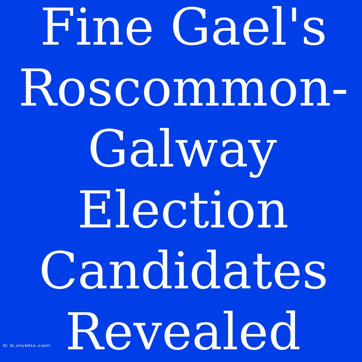 Fine Gael's Roscommon-Galway Election Candidates Revealed