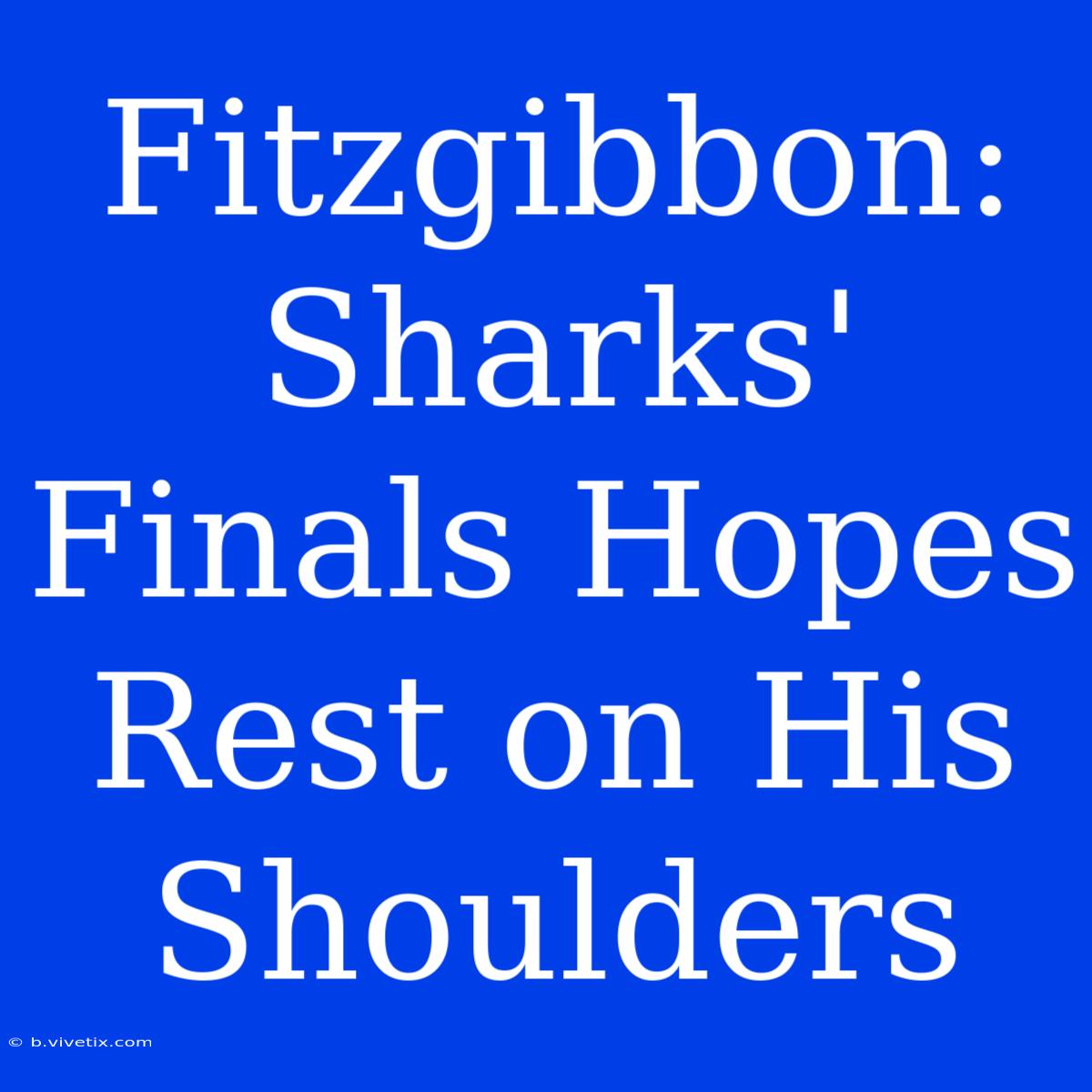 Fitzgibbon: Sharks' Finals Hopes Rest On His Shoulders