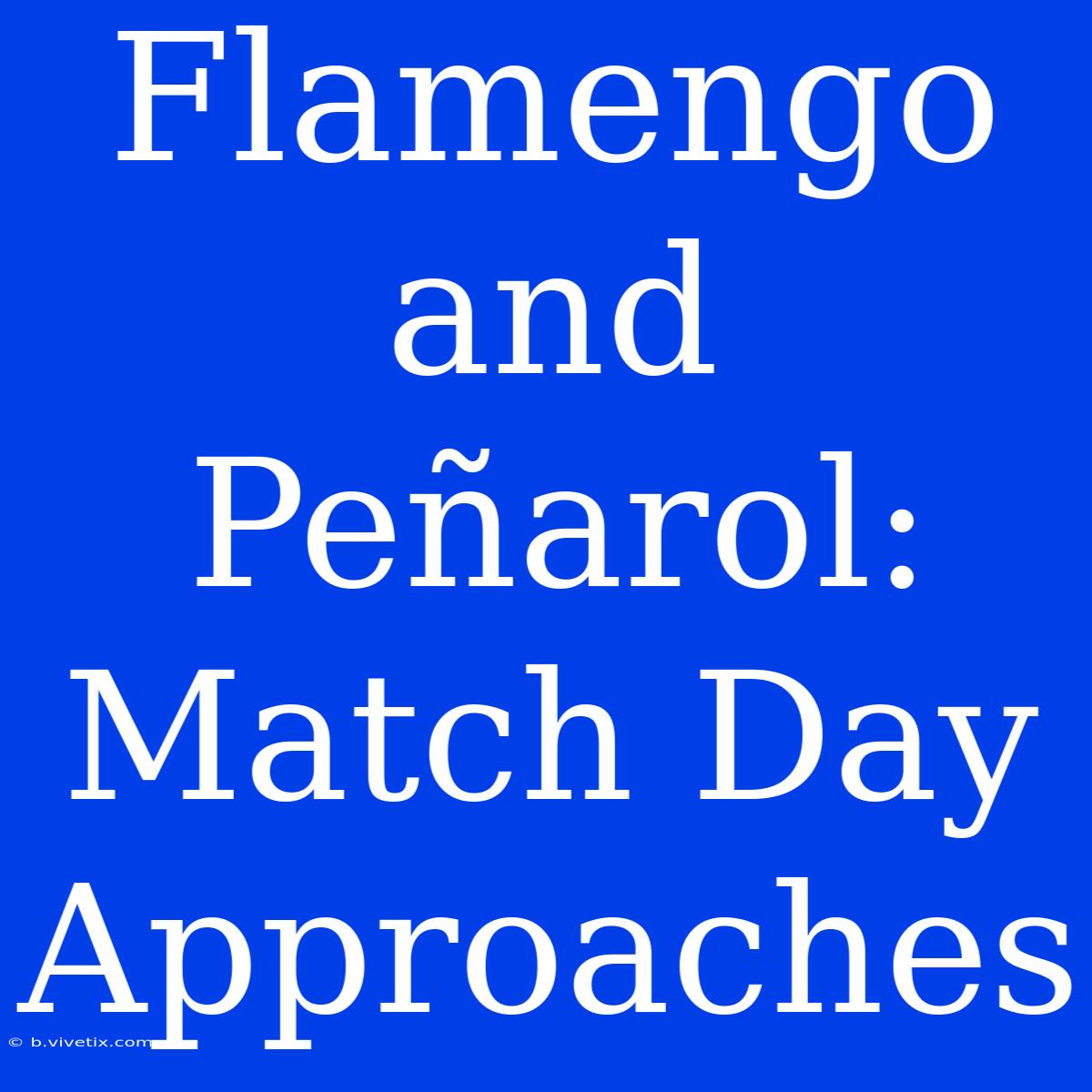 Flamengo And Peñarol: Match Day Approaches 