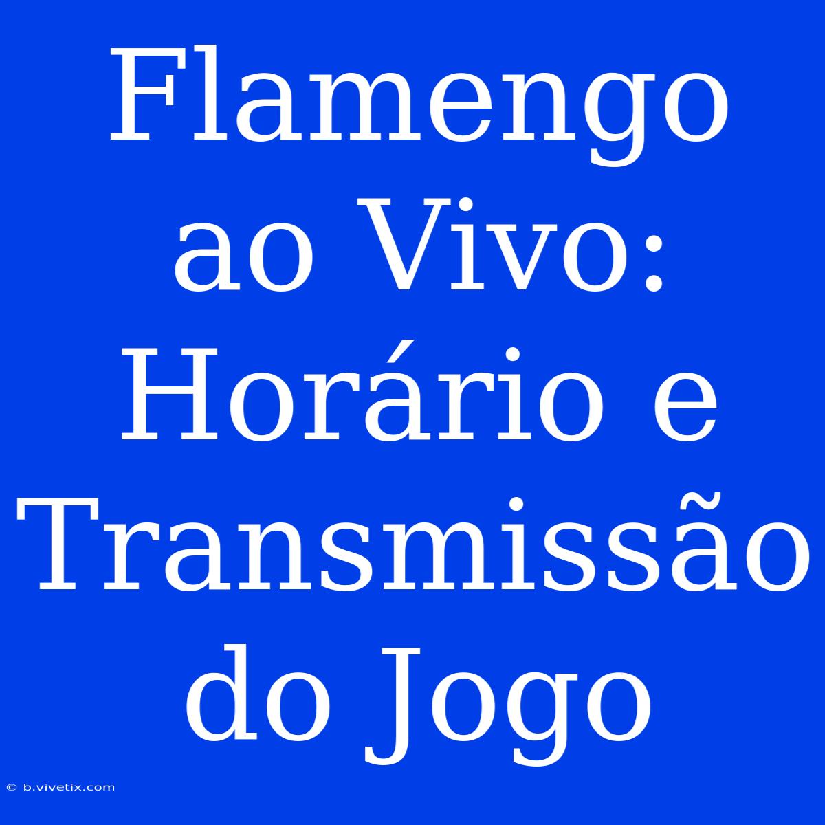 Flamengo Ao Vivo: Horário E Transmissão Do Jogo