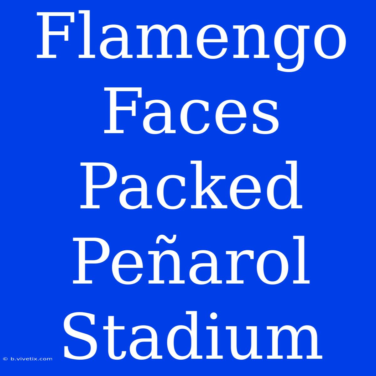 Flamengo Faces Packed Peñarol Stadium