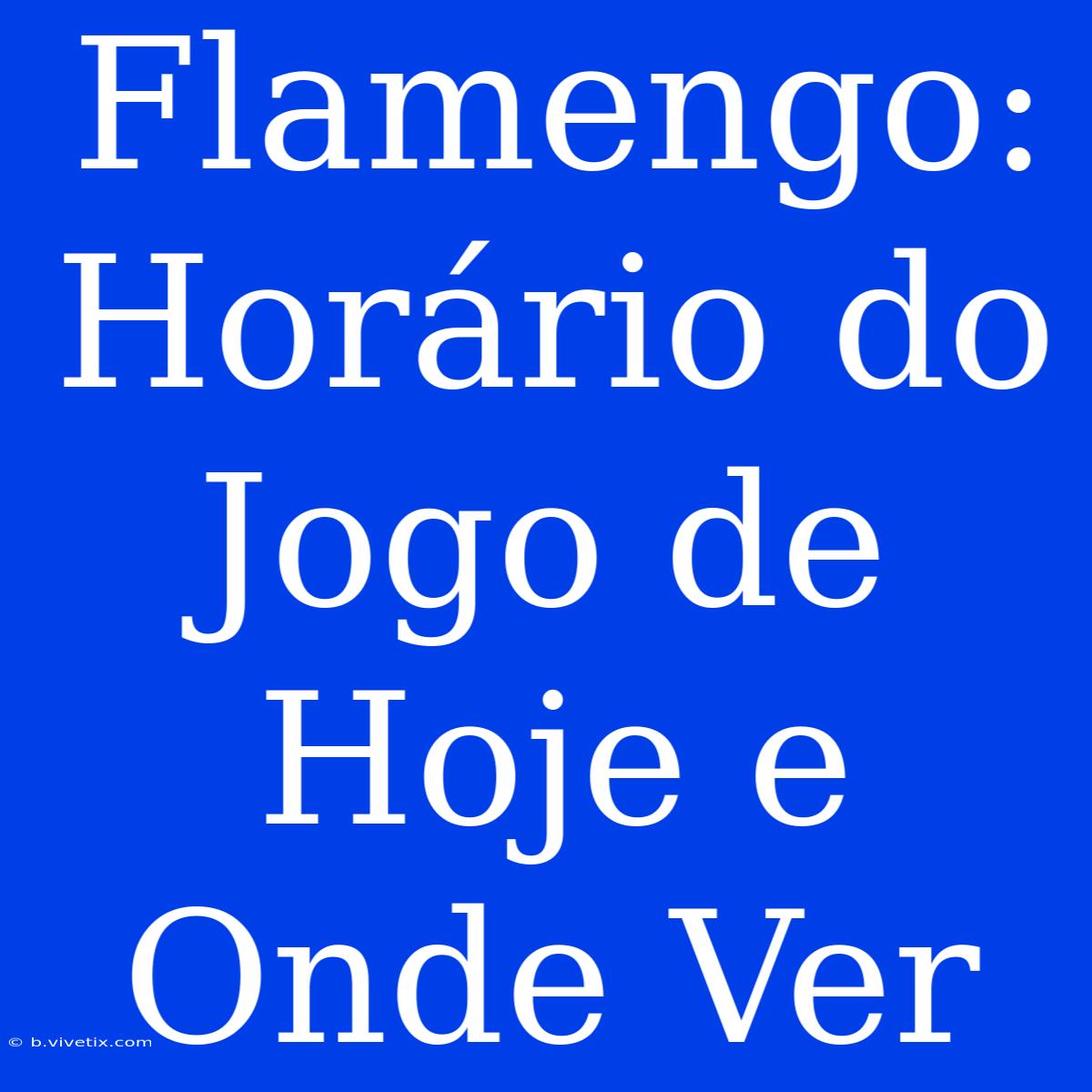 Flamengo: Horário Do Jogo De Hoje E Onde Ver