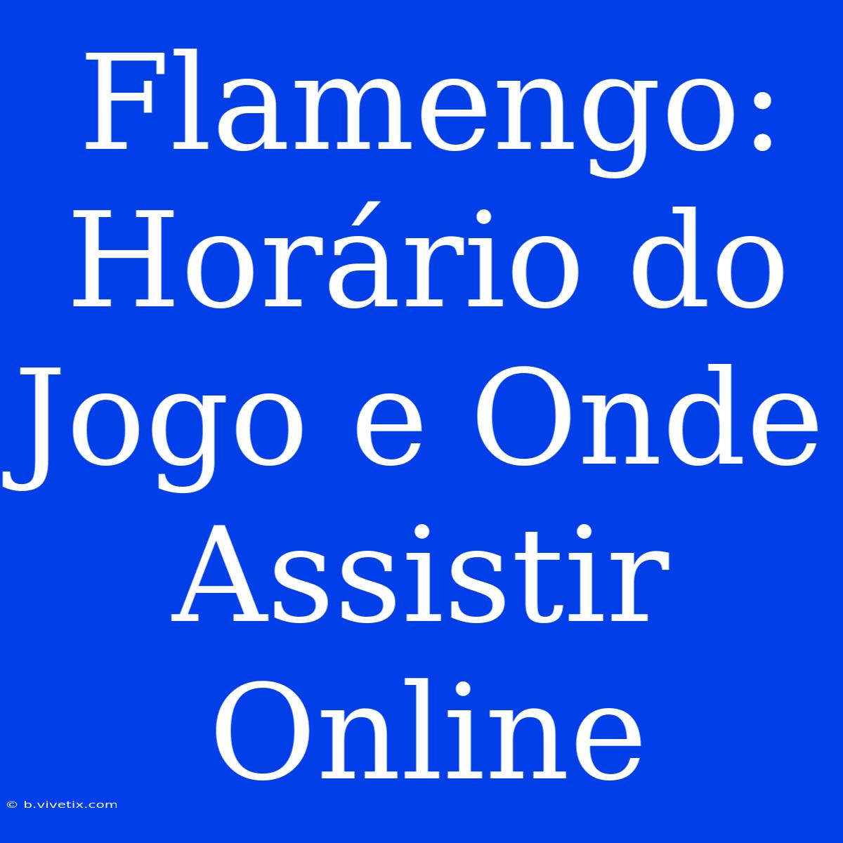 Flamengo: Horário Do Jogo E Onde Assistir Online