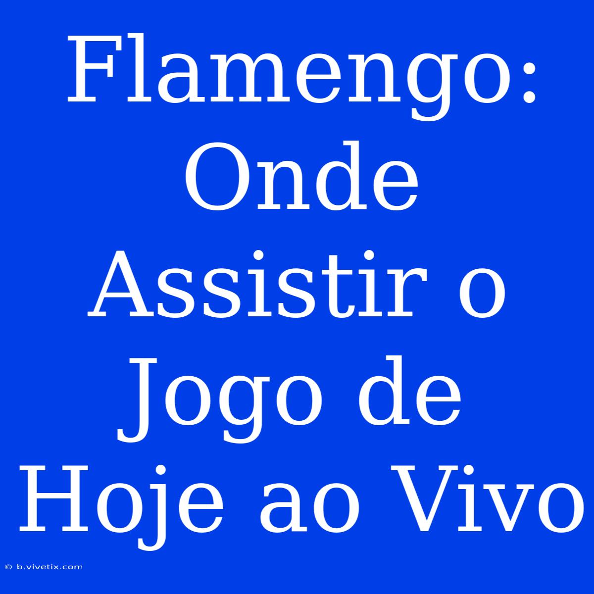 Flamengo: Onde Assistir O Jogo De Hoje Ao Vivo