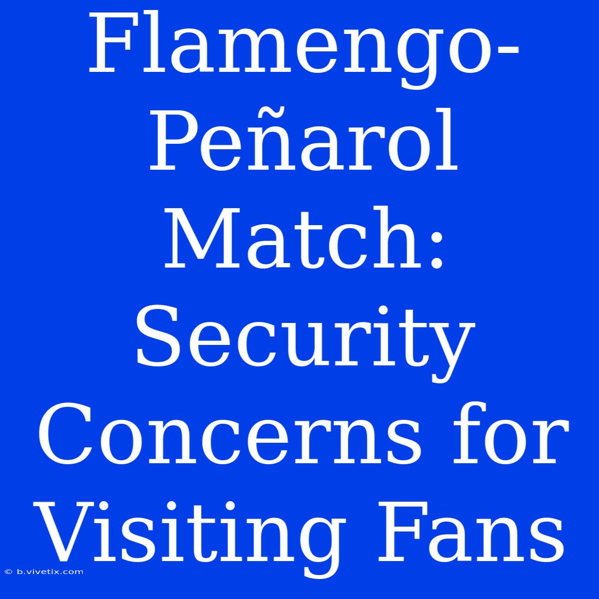 Flamengo-Peñarol Match: Security Concerns For Visiting Fans