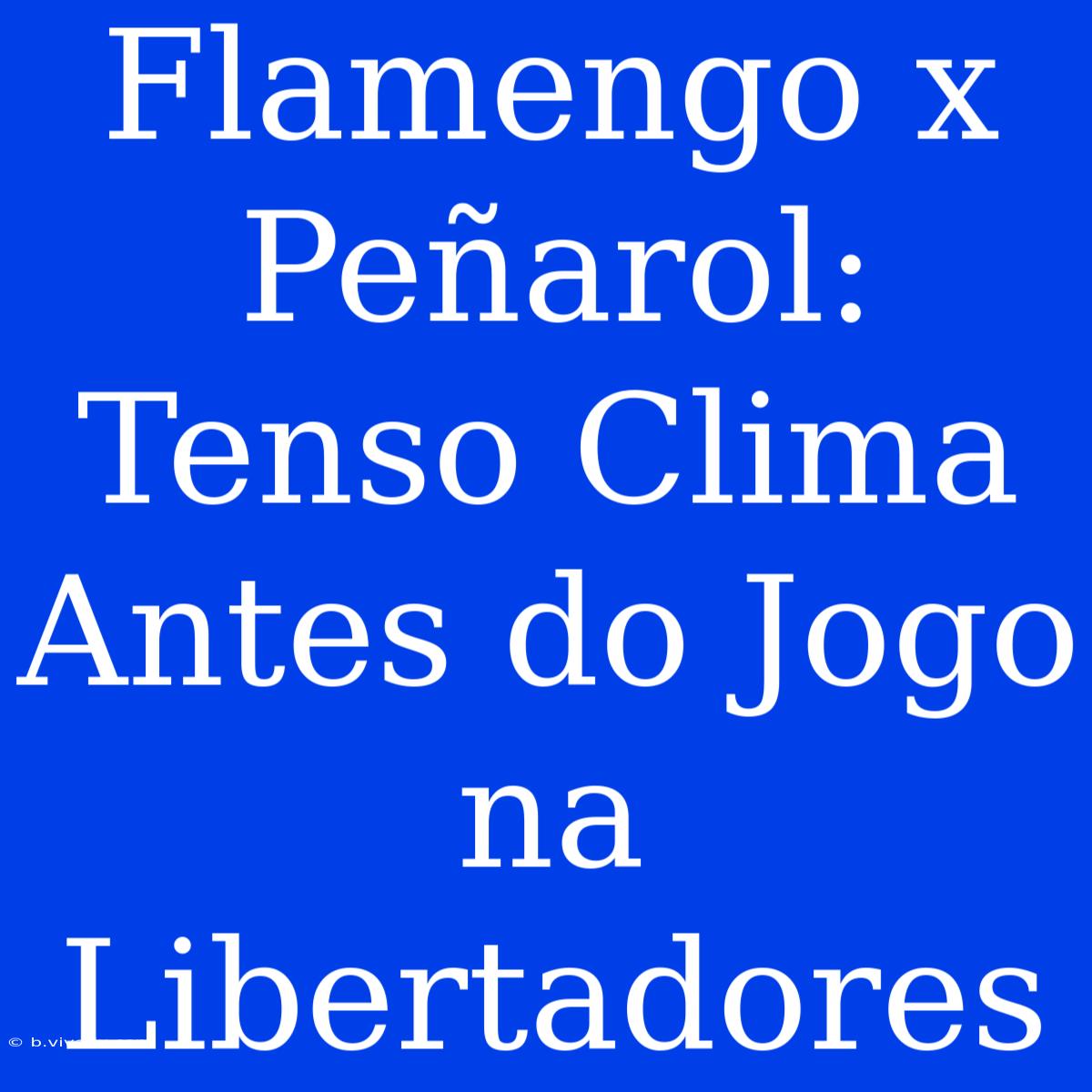 Flamengo X Peñarol: Tenso Clima Antes Do Jogo Na Libertadores