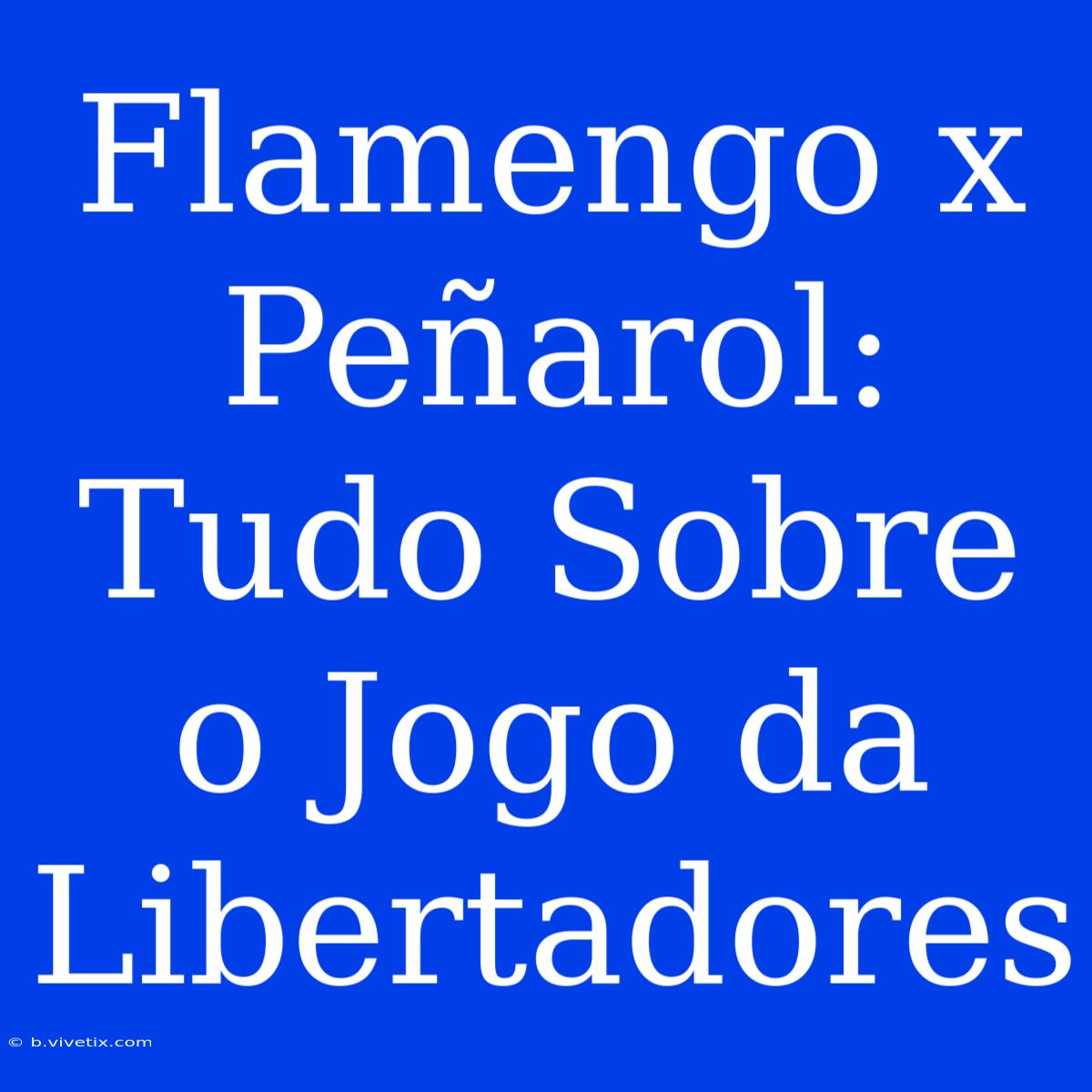 Flamengo X Peñarol: Tudo Sobre O Jogo Da Libertadores