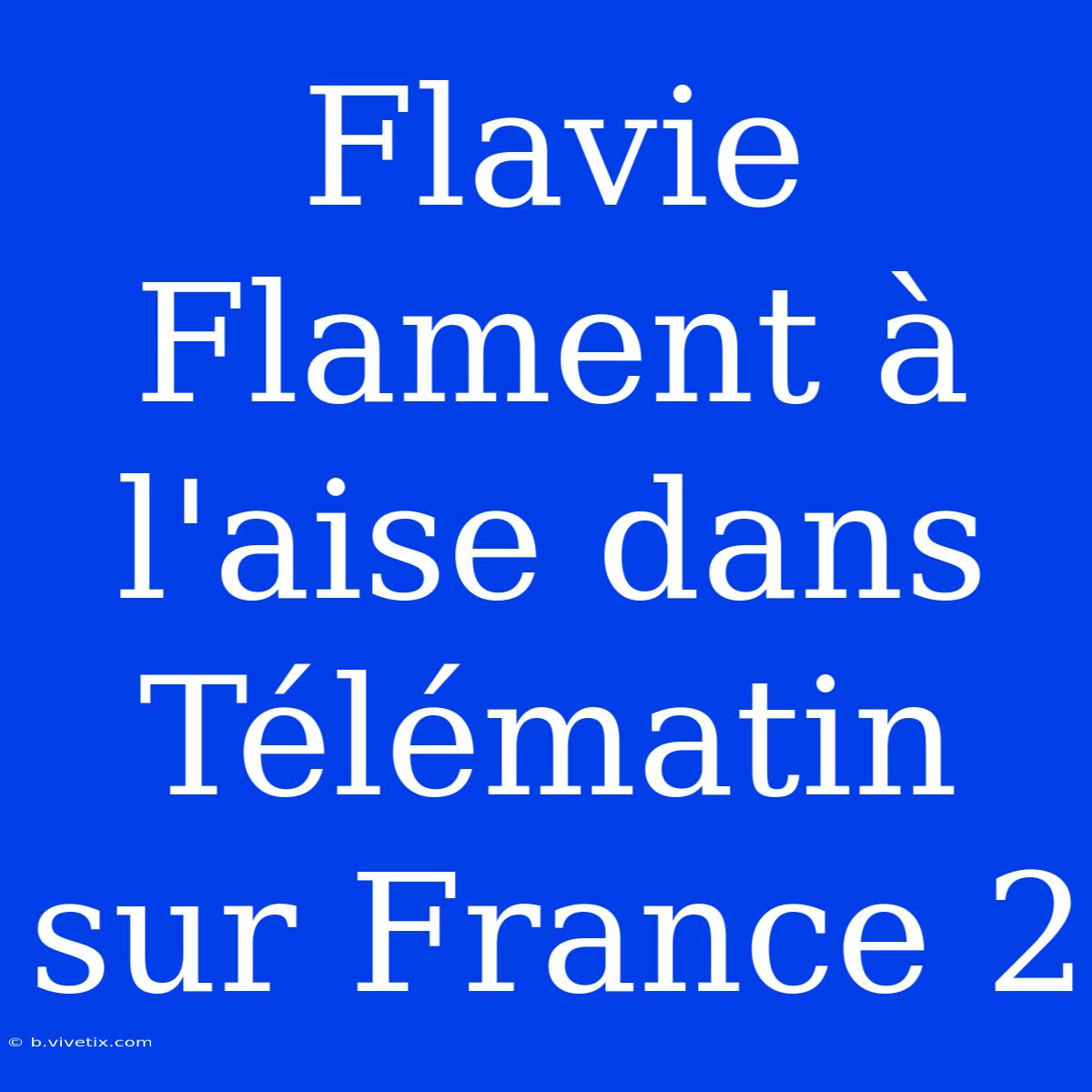 Flavie Flament À L'aise Dans Télématin Sur France 2