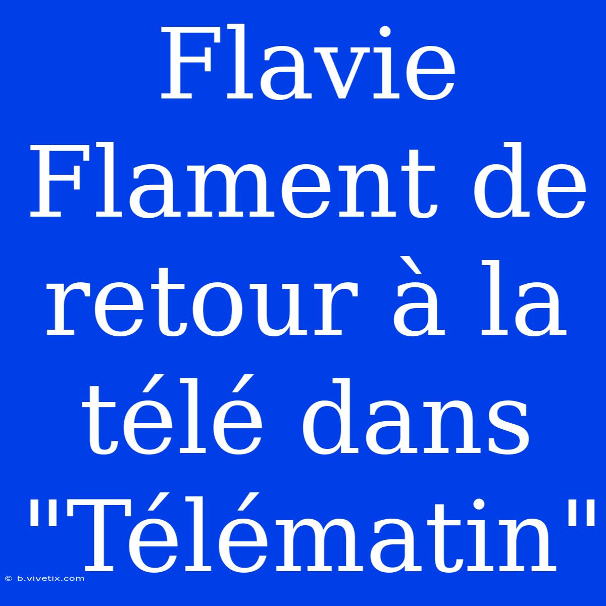 Flavie Flament De Retour À La Télé Dans 