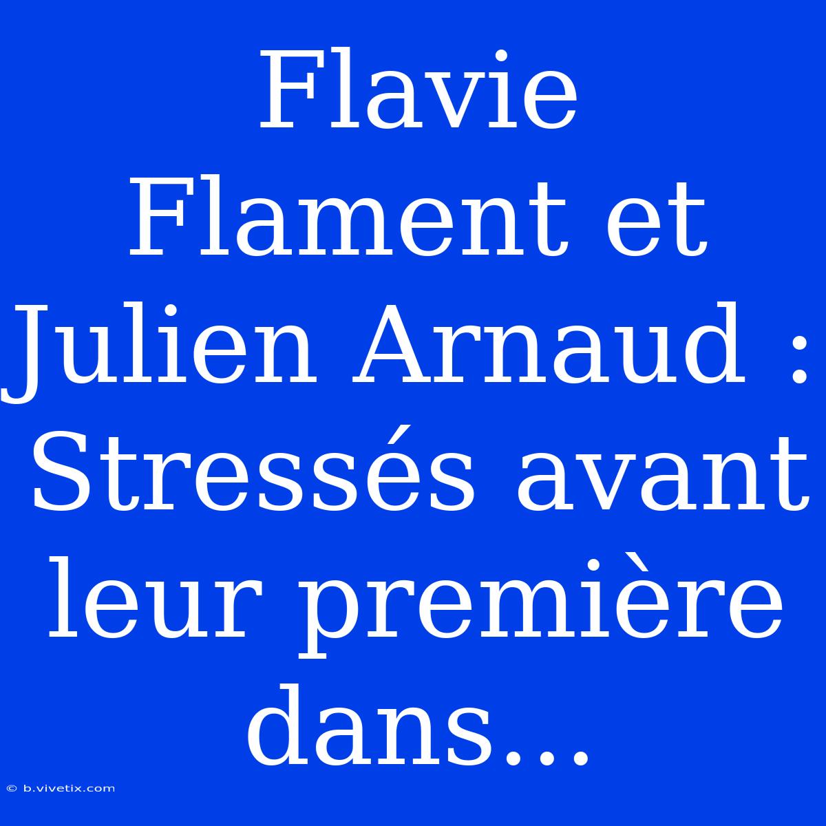 Flavie Flament Et Julien Arnaud : Stressés Avant Leur Première Dans...