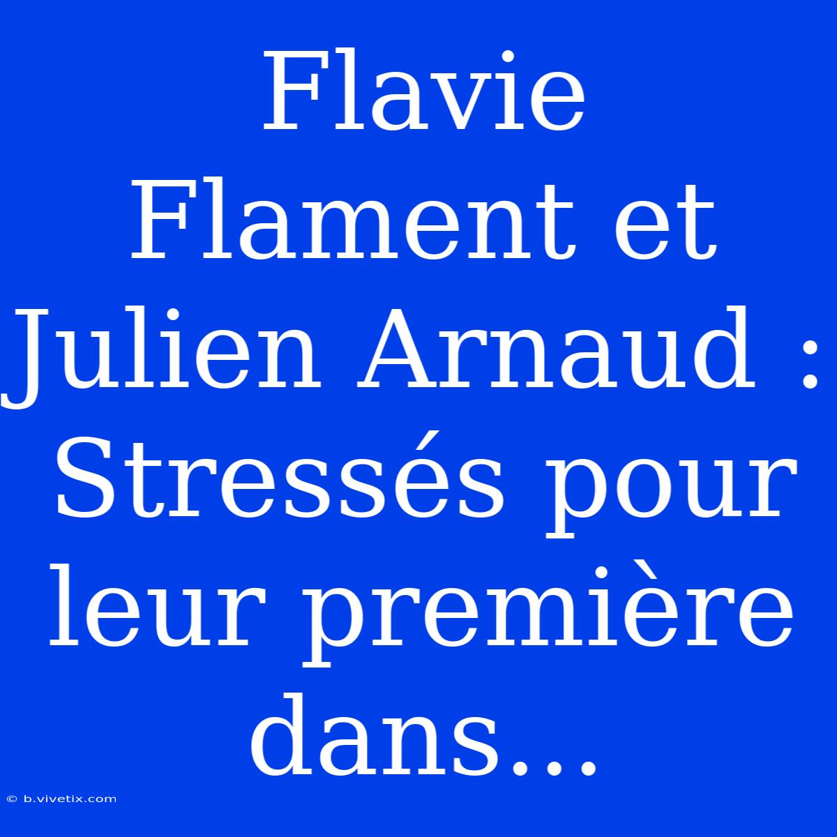 Flavie Flament Et Julien Arnaud : Stressés Pour Leur Première Dans... 