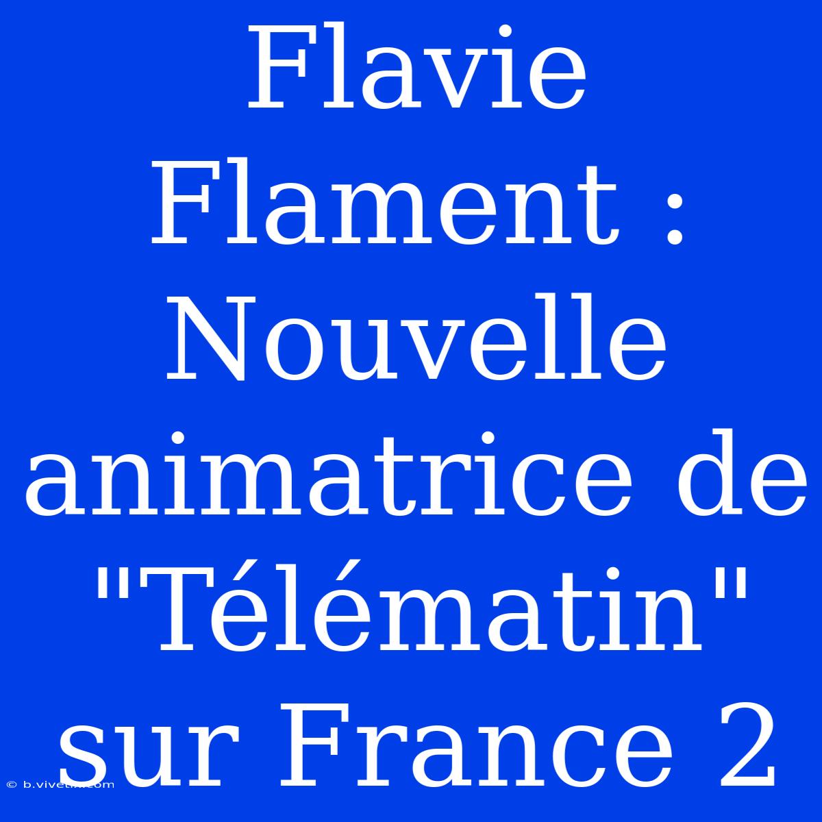 Flavie Flament : Nouvelle Animatrice De 