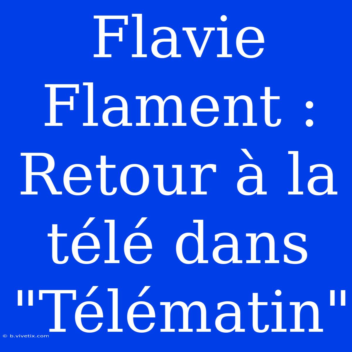 Flavie Flament : Retour À La Télé Dans 