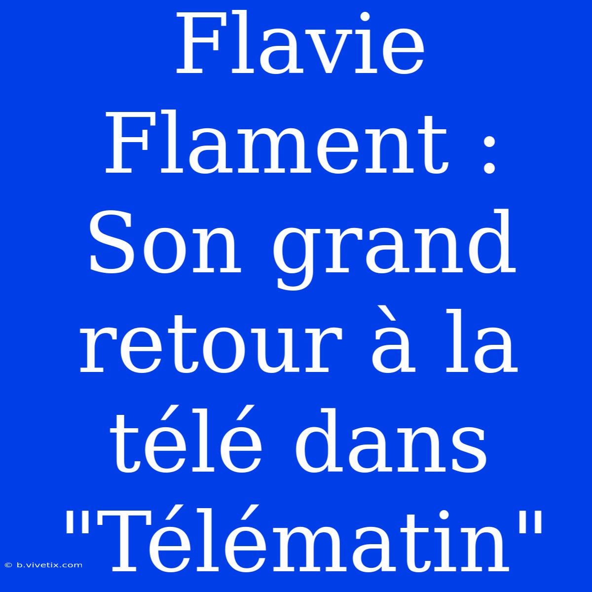 Flavie Flament : Son Grand Retour À La Télé Dans 