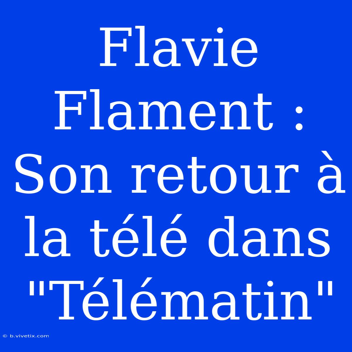 Flavie Flament : Son Retour À La Télé Dans 