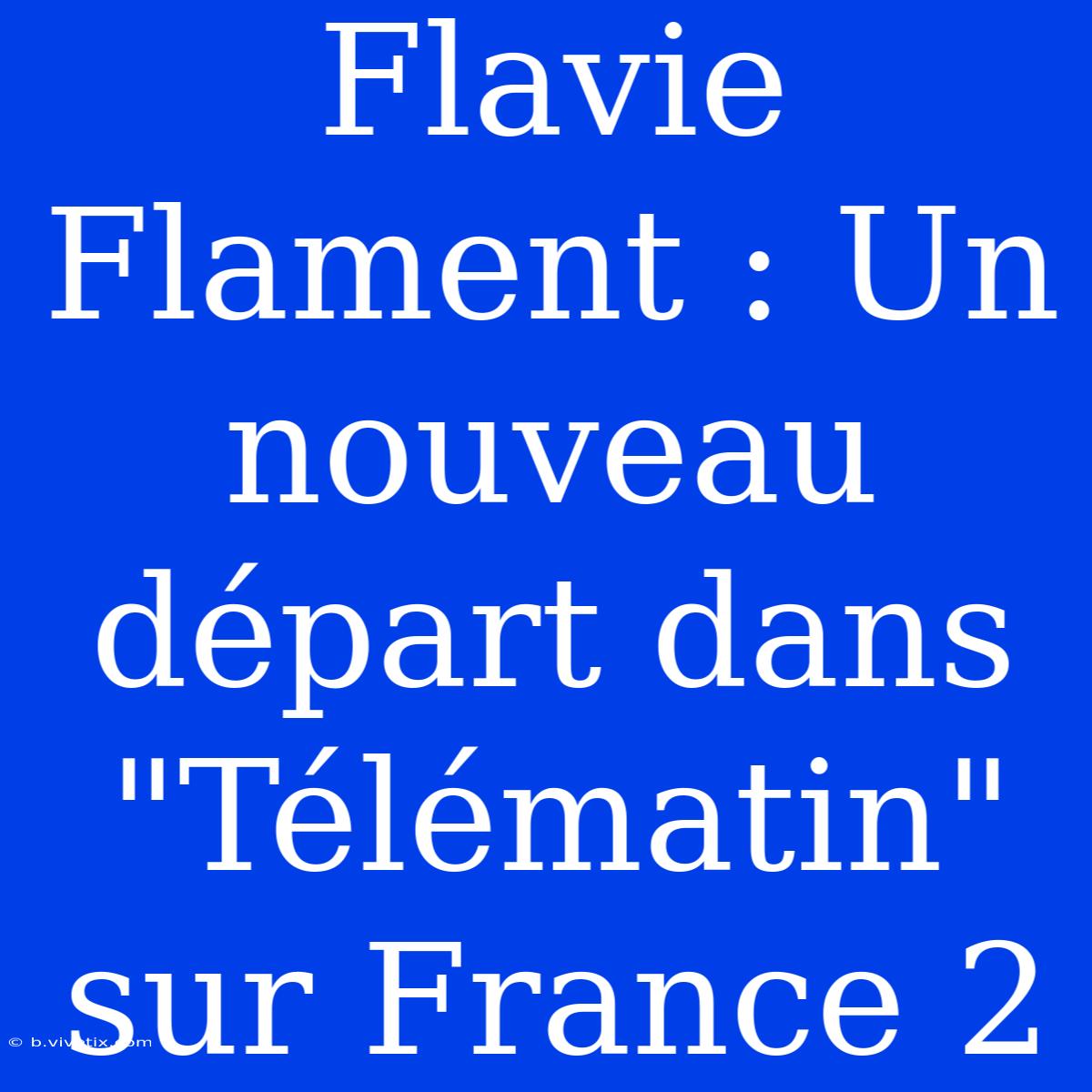 Flavie Flament : Un Nouveau Départ Dans 