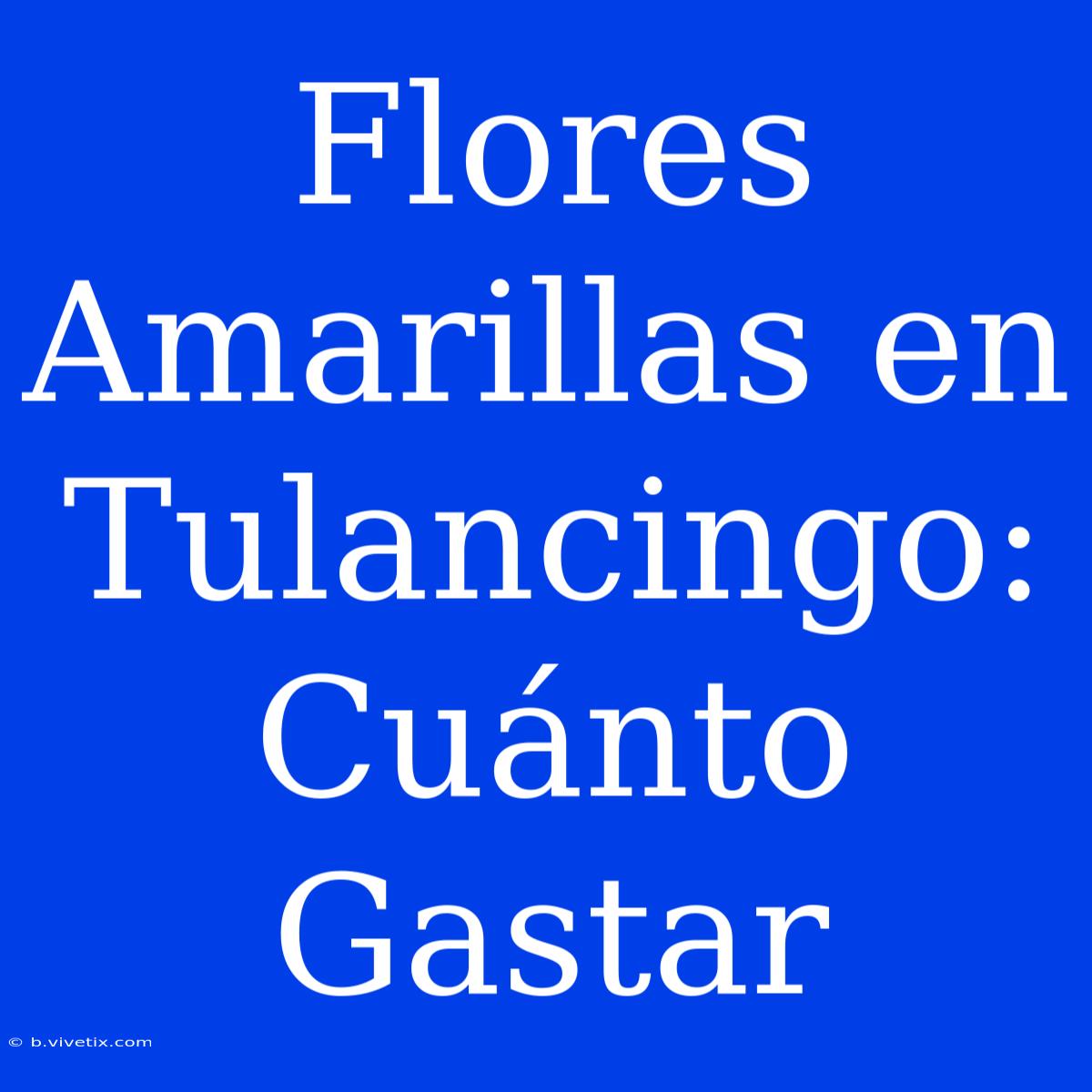 Flores Amarillas En Tulancingo: Cuánto Gastar