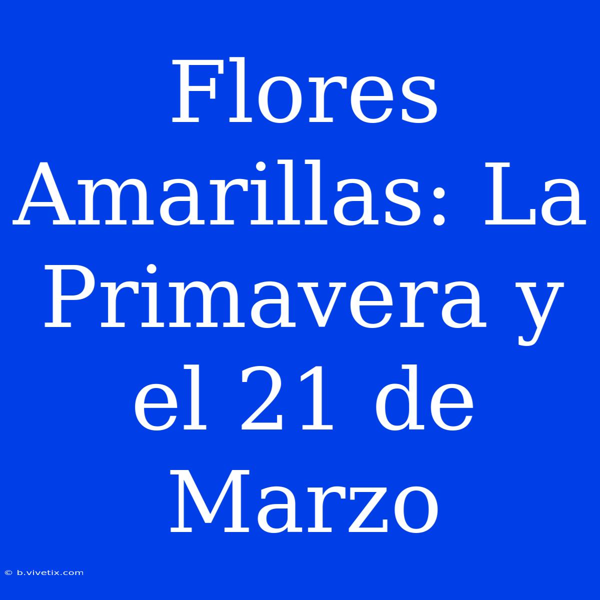 Flores Amarillas: La Primavera Y El 21 De Marzo 