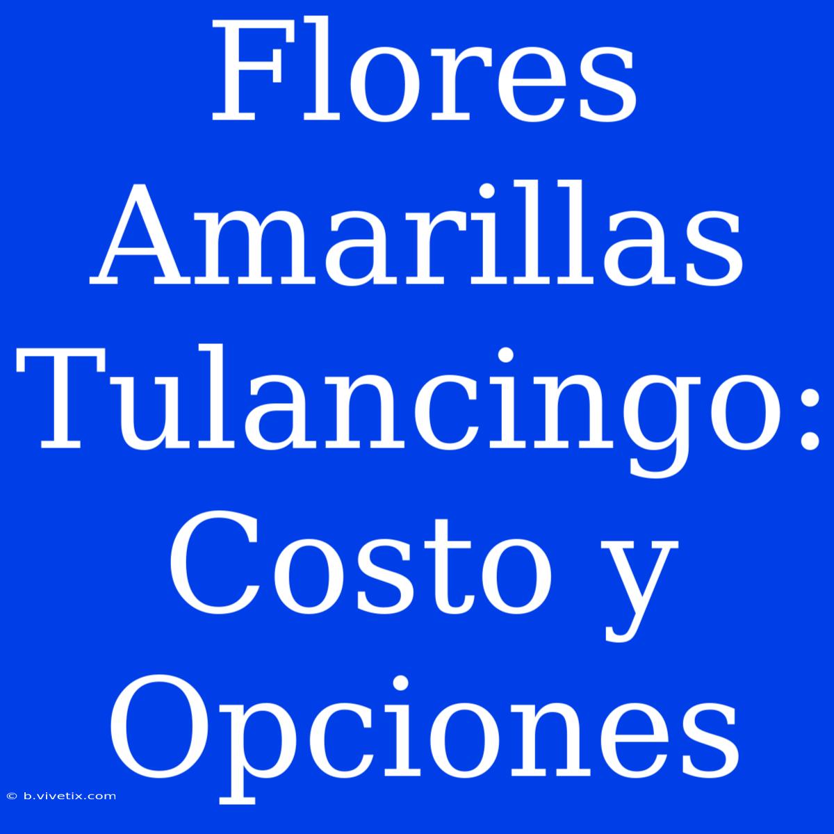 Flores Amarillas Tulancingo: Costo Y Opciones