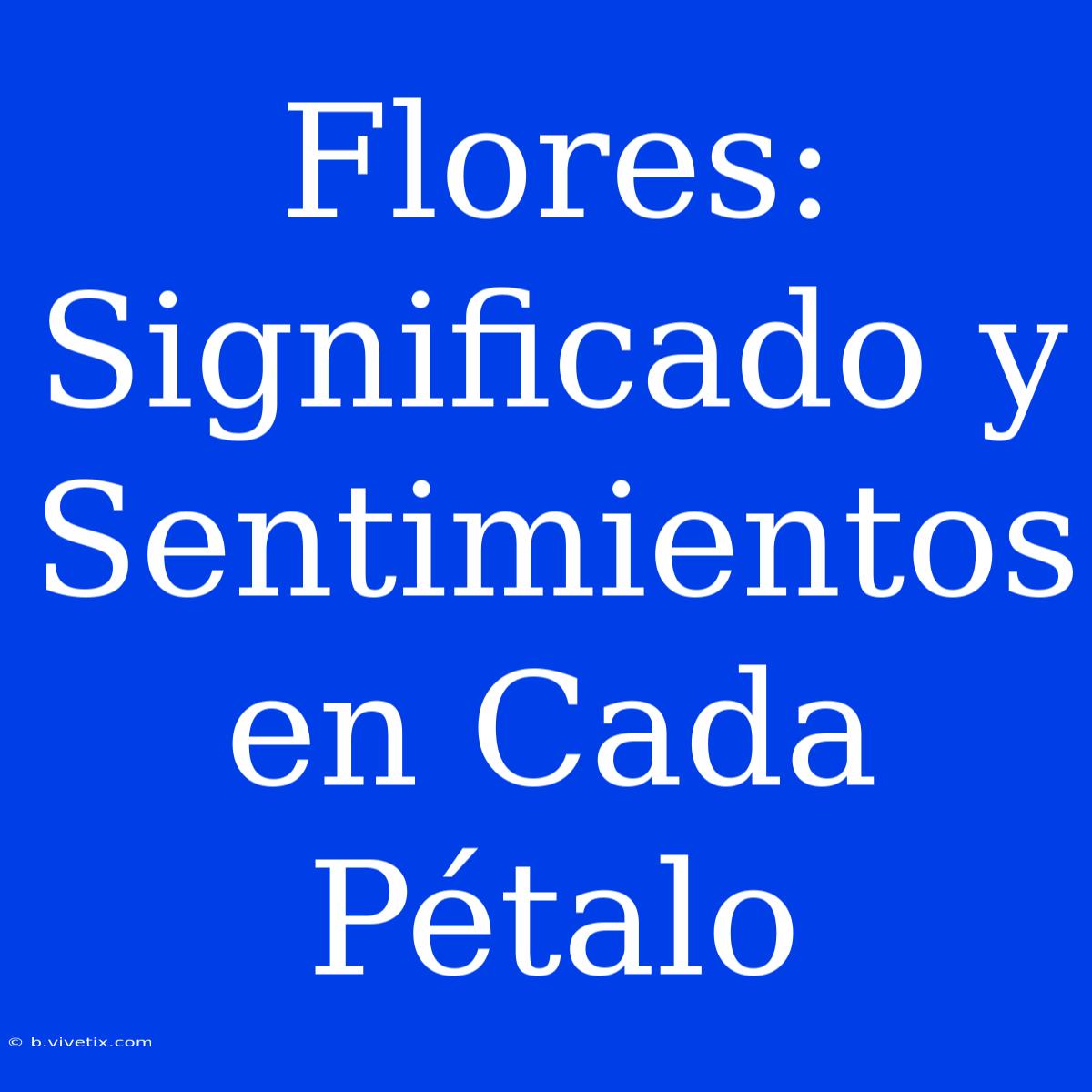 Flores: Significado Y Sentimientos En Cada Pétalo