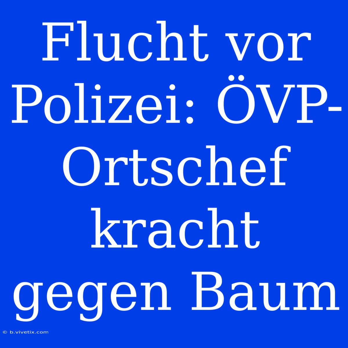 Flucht Vor Polizei: ÖVP-Ortschef Kracht Gegen Baum