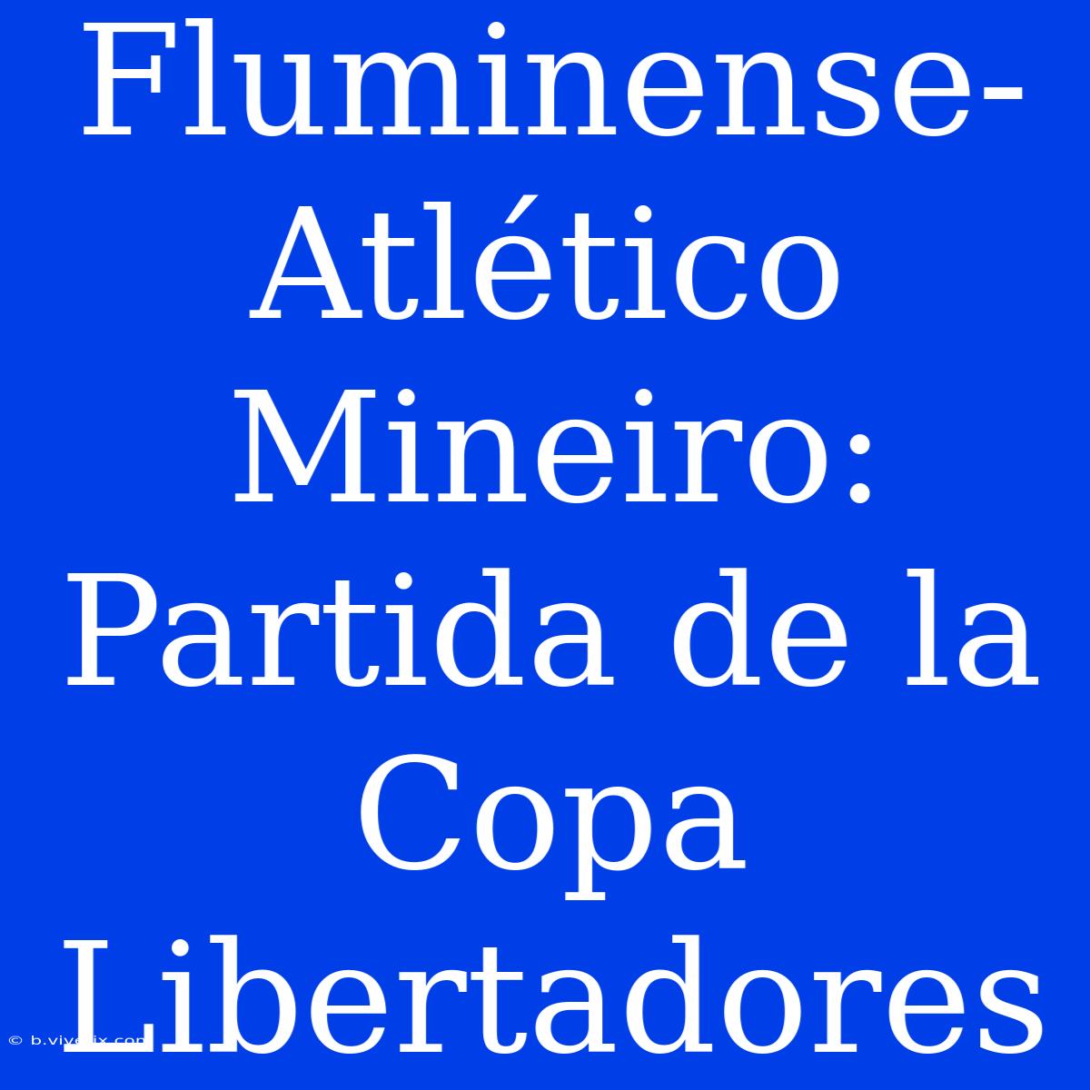 Fluminense-Atlético Mineiro: Partida De La Copa Libertadores