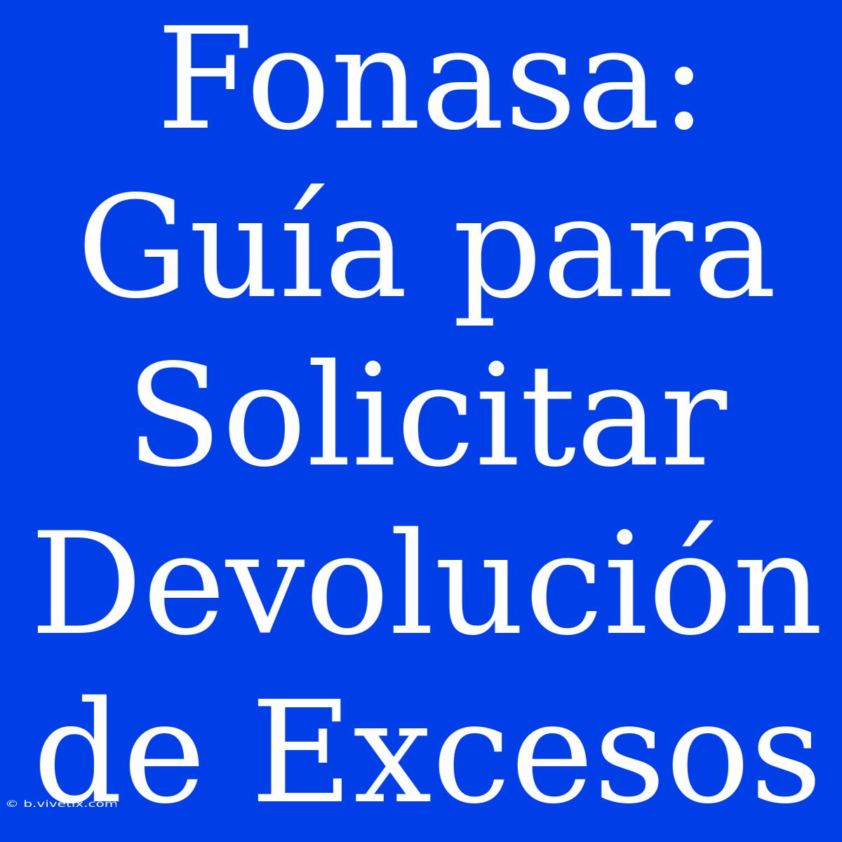 Fonasa: Guía Para Solicitar Devolución De Excesos