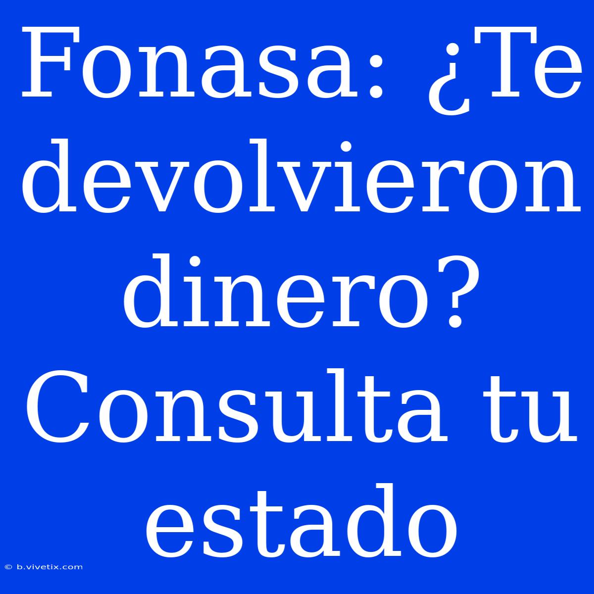 Fonasa: ¿Te Devolvieron Dinero? Consulta Tu Estado