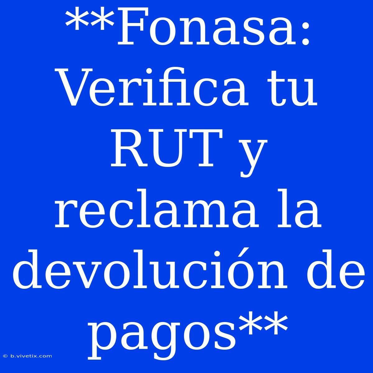 **Fonasa: Verifica Tu RUT Y Reclama La Devolución De Pagos**