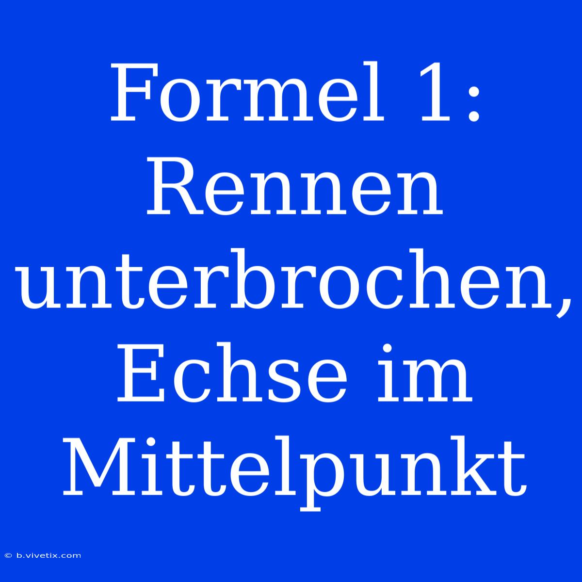 Formel 1: Rennen Unterbrochen, Echse Im Mittelpunkt