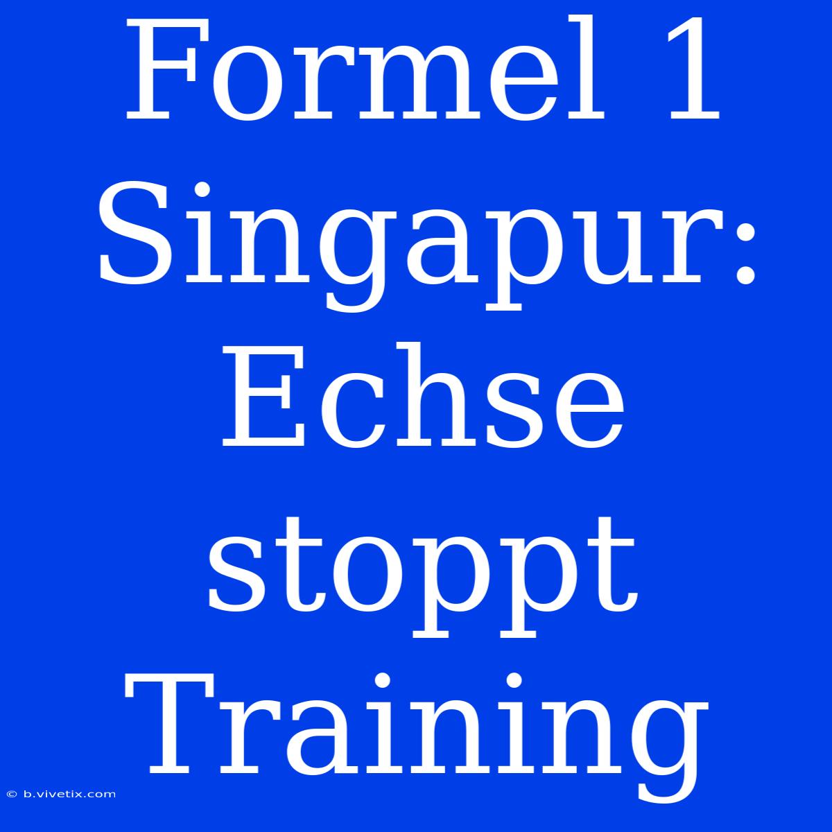 Formel 1 Singapur: Echse Stoppt Training