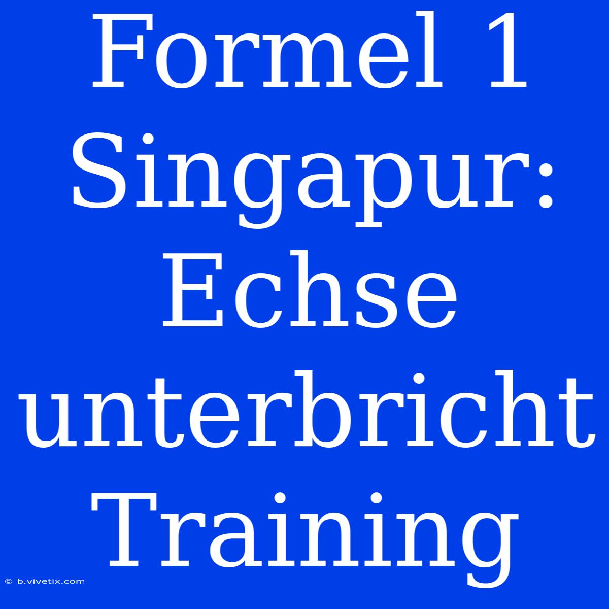 Formel 1 Singapur: Echse Unterbricht Training