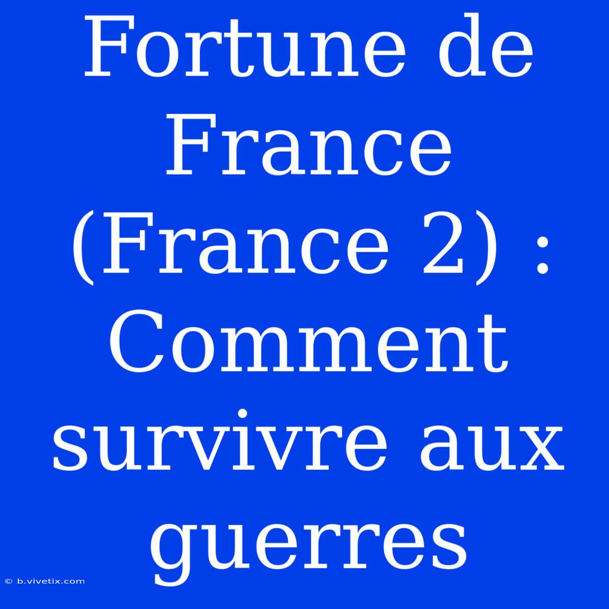 Fortune De France (France 2) : Comment Survivre Aux Guerres