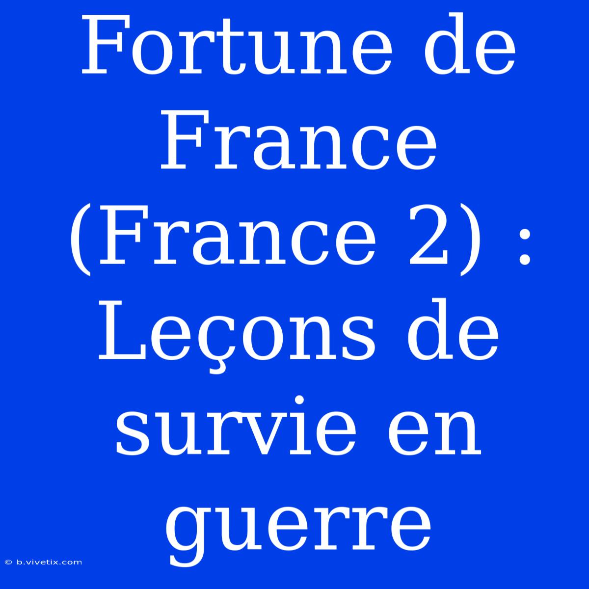 Fortune De France (France 2) : Leçons De Survie En Guerre