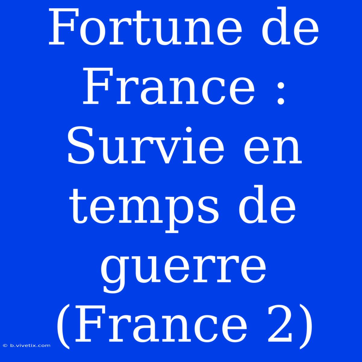 Fortune De France : Survie En Temps De Guerre (France 2)