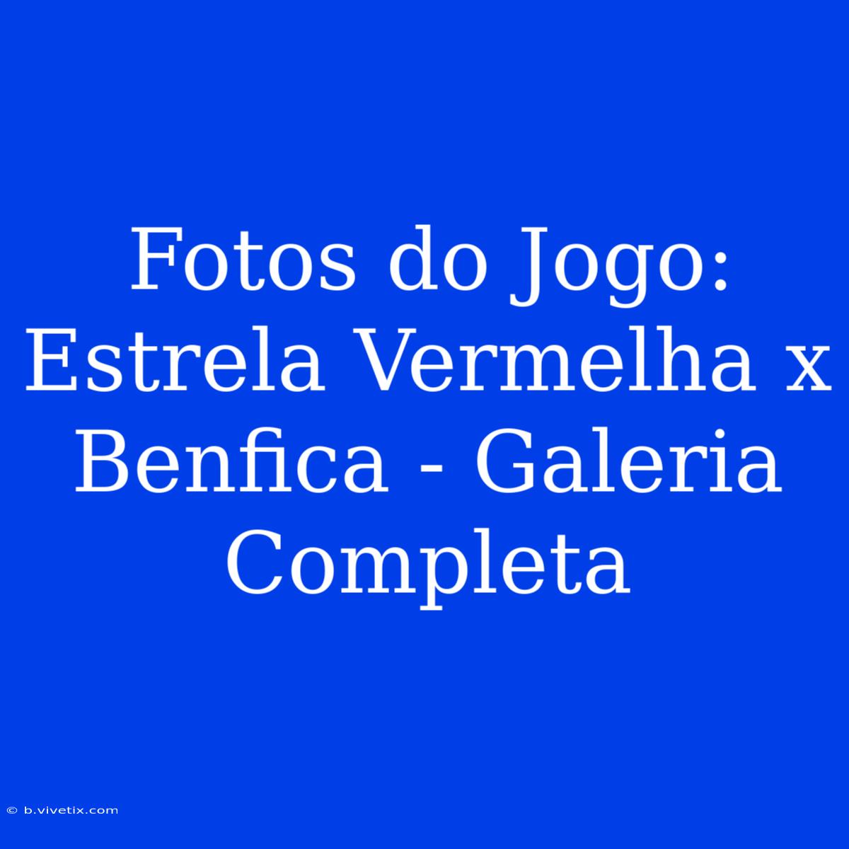 Fotos Do Jogo: Estrela Vermelha X Benfica - Galeria Completa