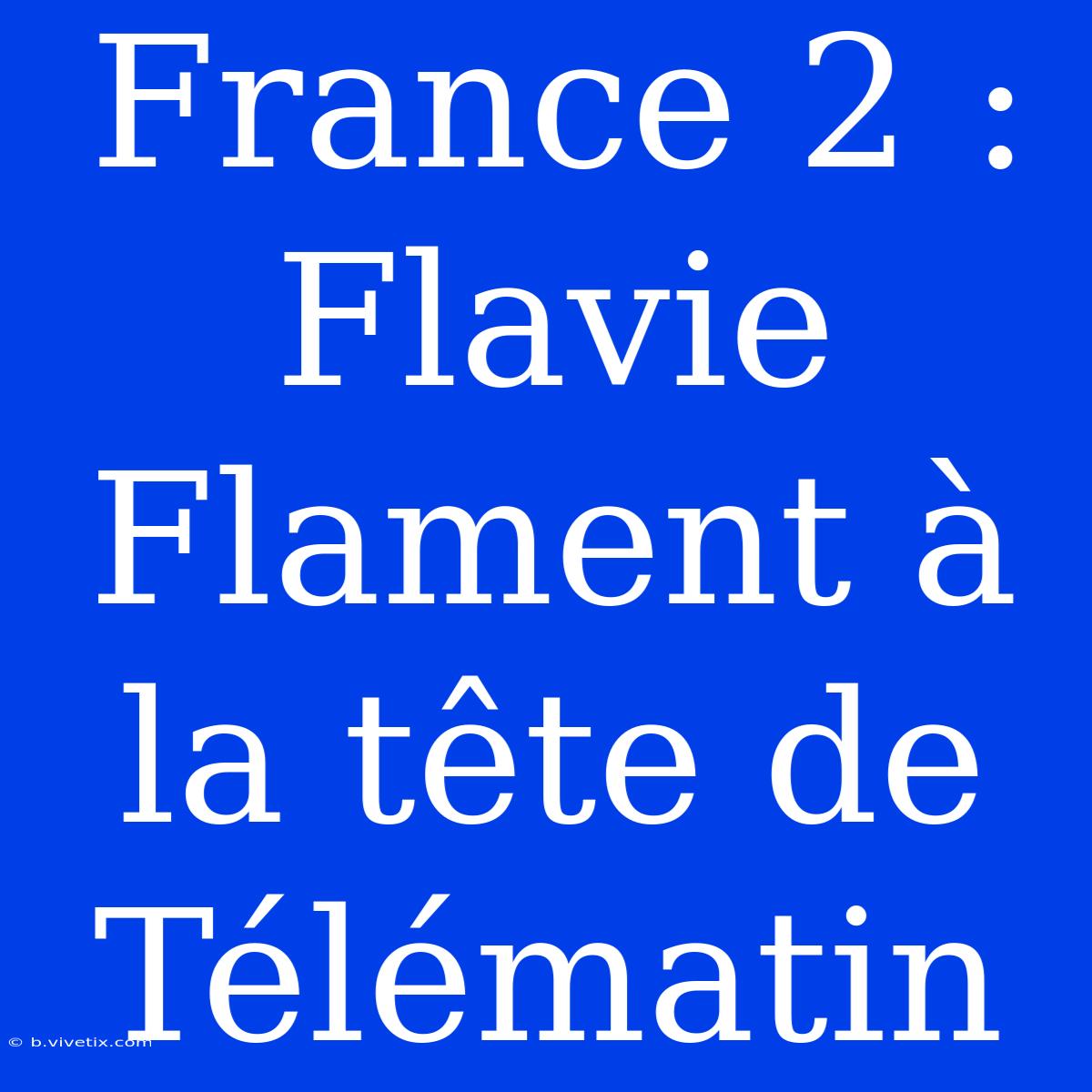 France 2 : Flavie Flament À La Tête De Télématin