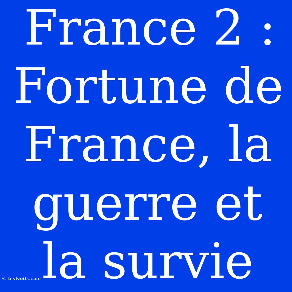 France 2 : Fortune De France, La Guerre Et La Survie