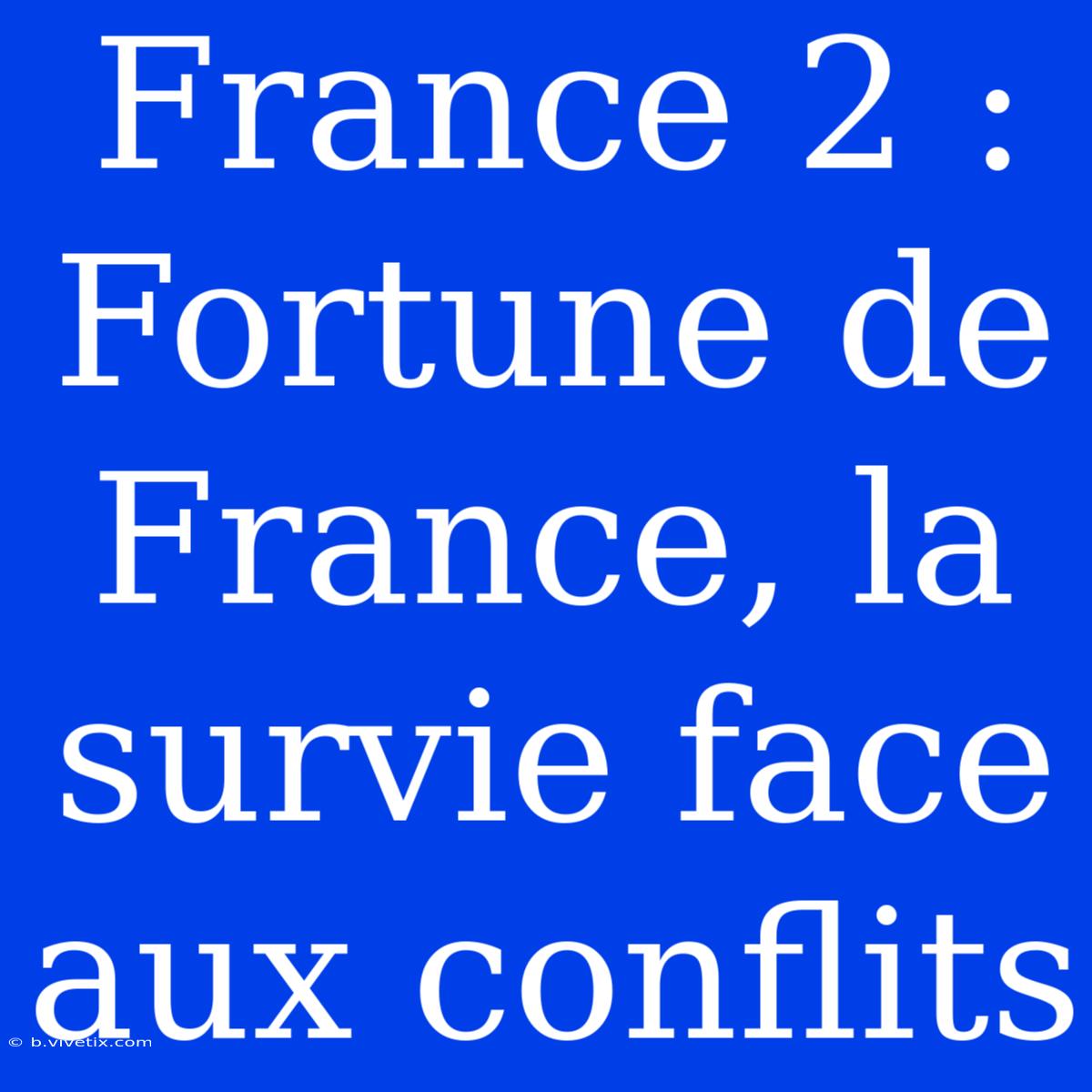 France 2 : Fortune De France, La Survie Face Aux Conflits 