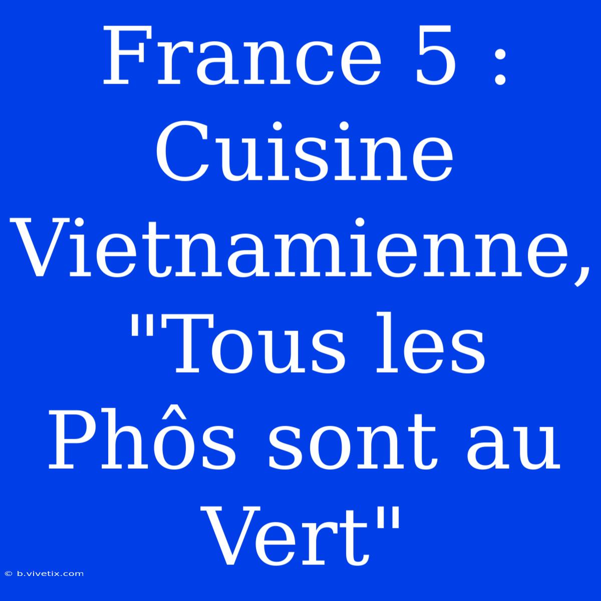 France 5 : Cuisine Vietnamienne, 