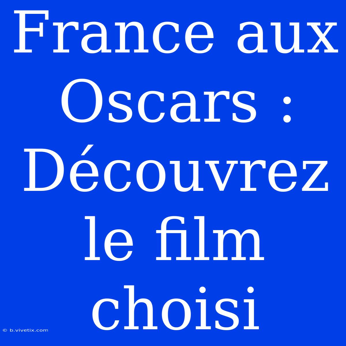 France Aux Oscars : Découvrez Le Film Choisi